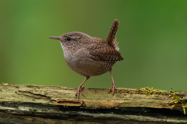 mieszkańcy wspólnie planują lokalny projekt społeczny